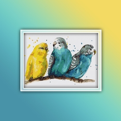 Parakeets 1 Cross Stitch Pattern Budgie