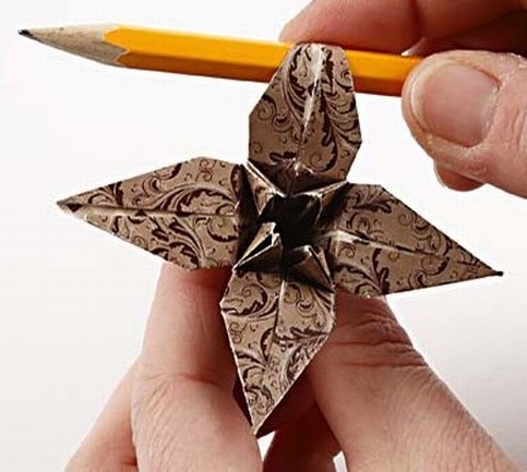 An Origami Lily