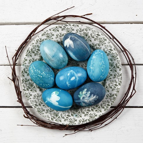 Natural Eggs with Plant Prints – dyed with Silk Royal Colour