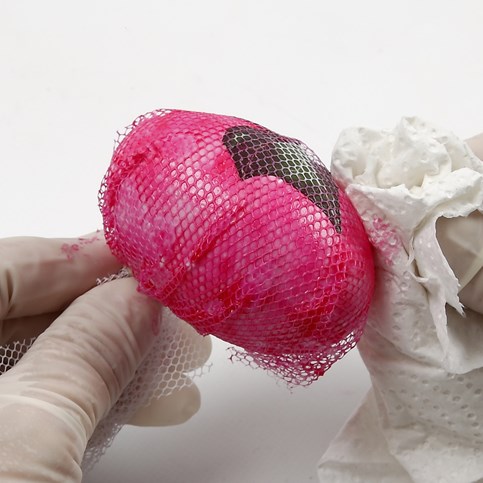 Natural Eggs with a coloured Pattern made with Tulle