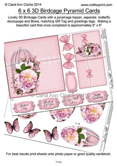 **3D Butterflies and Flowers Birdcage Cards Tutorial** PDF