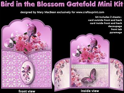 Gatefold Card Mini Kits Image-2