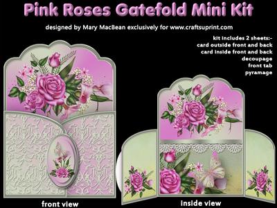 Gatefold Card Mini Kits Image-3