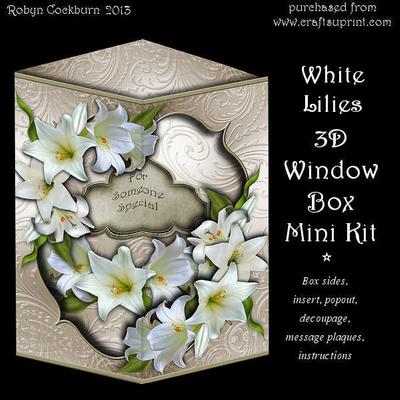 3D Window Box Card Tutorial Image-5