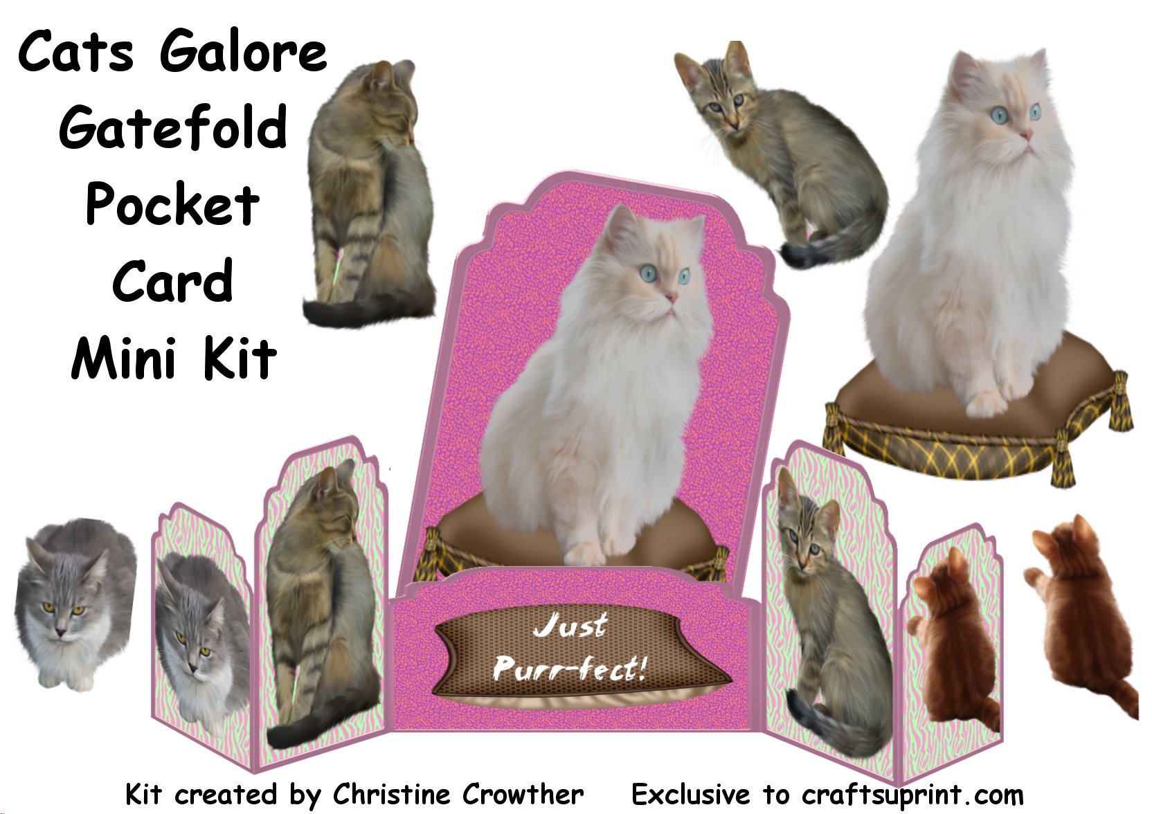 Satin Rose Gatefold Pocket Card Mini Kit Cup385875994 Craftsuprint